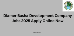 Diamer Basha Development Company Jobs 2025