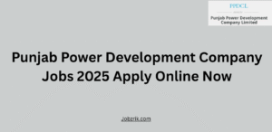 Punjab Power Development Company Jobs 2025
